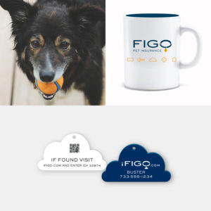 FIGO Pet Insurance Photography and Collateral Items